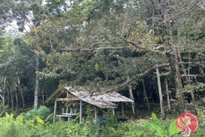 Działka na sprzedaż Phang Nga, Phang Nga, Thailand - zdjęcie 2