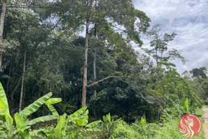 Działka na sprzedaż Phang Nga, Phang Nga, Thailand - zdjęcie 3