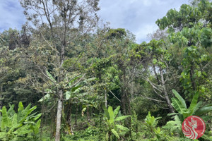 Działka na sprzedaż Phang Nga, Phang Nga, Thailand - zdjęcie 2