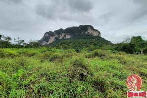 Działka na sprzedaż Khao Thong, Krabi, Thailand - zdjęcie 2