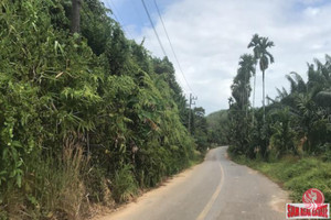 Działka na sprzedaż Phang Nga, Phang Nga, Thailand - zdjęcie 1