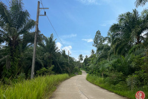 Działka na sprzedaż Phang Nga, Phang Nga, Thailand - zdjęcie 1