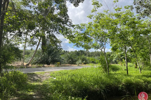 Działka na sprzedaż Phang Nga, Phang Nga, Thailand - zdjęcie 1