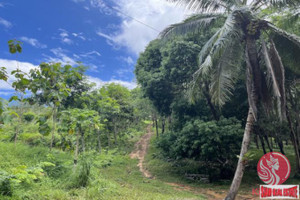 Działka na sprzedaż Phang Nga, Phang Nga, Thailand - zdjęcie 3