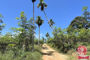 Działka na sprzedaż Phang Nga, Phang Nga, Thailand - zdjęcie 3