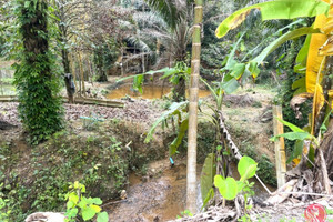 Działka na sprzedaż Phang Nga, Phang Nga, Thailand - zdjęcie 1