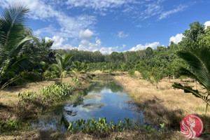 Działka na sprzedaż Phang Nga, Phang Nga, Thailand - zdjęcie 3