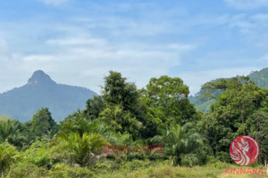 Działka na sprzedaż Nong Thaley, Krabi, Thailand - zdjęcie 2