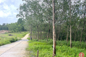 Działka na sprzedaż Phang Nga, Phang Nga, Thailand - zdjęcie 1