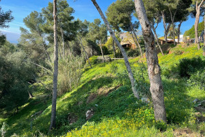 Działka na sprzedaż Urb. Hacienda las Chapas, 276, 29604 Marbella, Málaga, Spain - zdjęcie 3