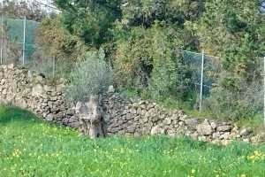 Działka na sprzedaż Dystrykt Lizboński Vila Franca de Xira - zdjęcie 2