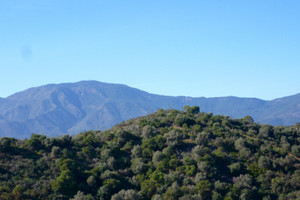 Dom na sprzedaż 499m2 Andaluzja La Panera - zdjęcie 3