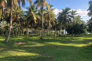 Działka na sprzedaż Samaná Beach Front Lot for Sales in Samana Dominican Republic.!. - zdjęcie 3