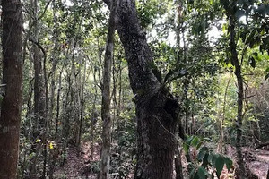 Działka na sprzedaż Xpu Há, Quintana Roo, Mexico - zdjęcie 2