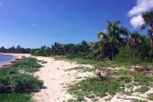 Działka na sprzedaż Quintana Roo, Mexico - zdjęcie 3