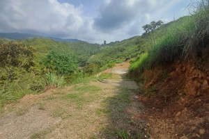 Działka na sprzedaż La Buitrera, Palmira, Valle del Cauca, Colombia - zdjęcie 1