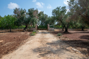 Dom na sprzedaż 84m2 Via Roma, 1, 72017 Ostuni BR, Italy - zdjęcie 3