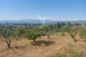 Działka na sprzedaż Castelo Branco Fundao Fundão, Valverde, Donas, Aldeia de Joanes e Aldeia Nova do Cabo - zdjęcie 3