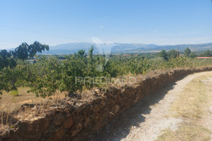 Działka na sprzedaż Castelo Branco Fundao Fundão, Valverde, Donas, Aldeia de Joanes e Aldeia Nova do Cabo - zdjęcie 3