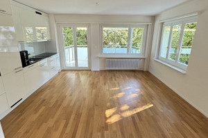 Mieszkanie do wynajęcia 65m2 Zurich Schweighofstrasse  - zdjęcie 3