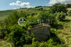 Dom na sprzedaż 350m2 Strada dei Colli - zdjęcie 3