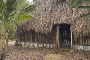 Działka na sprzedaż Quintana Roo, Solidaridad, Playa del Carmen - zdjęcie 3