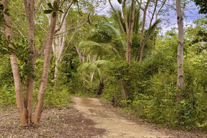 Działka na sprzedaż Quintana Roo, Solidaridad, Playa del Carmen - zdjęcie 2