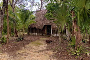 Działka na sprzedaż Quintana Roo, Solidaridad, Playa del Carmen - zdjęcie 2