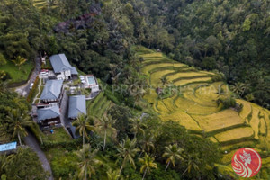 Dom na sprzedaż 2500m2 Ubud - zdjęcie 2