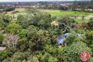 Działka na sprzedaż Ubud - zdjęcie 3