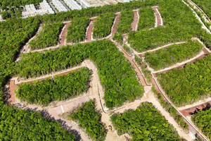 Działka na sprzedaż Ciudad Mayakoba, Quintana Roo - zdjęcie 2