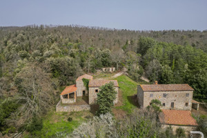 Dom na sprzedaż 460m2 Roccastrada - zdjęcie 1