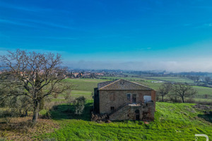 Dom na sprzedaż 576m2 Via Massa Carrara - zdjęcie 3