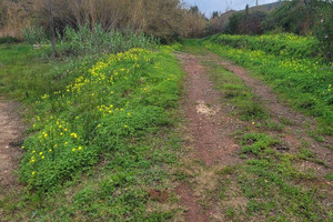 Działka na sprzedaż Faro Silves - zdjęcie 2