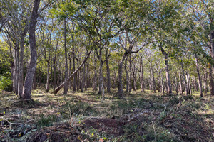 Działka na sprzedaż 66V3+H83, Guanacaste Province, Tamarindo, Costa Rica - zdjęcie 3