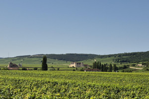 Komercyjne na sprzedaż 3333m2 Nuits-Saint-Georges - zdjęcie 1