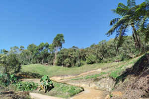 Działka na sprzedaż San José, La Ceja, Antioquia, Colombia - zdjęcie 1