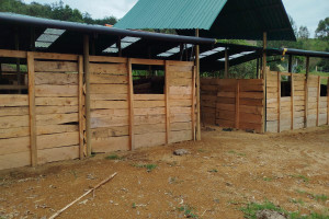 Działka na sprzedaż La Ceja, Antioquia, Colombia - zdjęcie 2