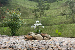 Dom na sprzedaż 1600m2 Cl 3 #17-30, La Ceja, Santa Teresa, La Ceja, Antioquia, Colombia - zdjęcie 3