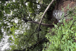 Działka na sprzedaż 75V8+M64, Av Central, Provincia de Guanacaste, Tamarindo, Costa Rica - zdjęcie 2