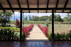 Działka na sprzedaż Vda. Paso de la Bolsa, Jamundí, Valle del Cauca, Colombia - zdjęcie 2