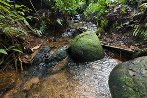 Działka na sprzedaż FWGW+79M, Provincia de Puntarenas, Naranjito, Villa Nueva, Costa Rica - zdjęcie 3