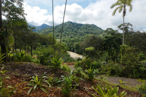 Działka na sprzedaż FWGW+79M, Provincia de Puntarenas, Naranjito, Villa Nueva, Costa Rica - zdjęcie 1