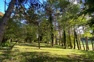 Dom na sprzedaż 195m2 NOUVELLE-AQUITAINE, Charente - zdjęcie 2