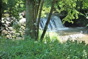 Dom na sprzedaż 225m2 NOUVELLE-AQUITAINE, Charente - zdjęcie 3