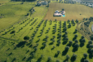 Działka na sprzedaż 41430m2 Rua do Alecrim - zdjęcie 1