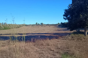 Dom na sprzedaż 195m2 - zdjęcie 2