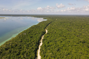 Działka na sprzedaż 1000m2 Laguna Bacalar - zdjęcie 3