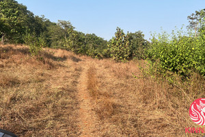 Działka na sprzedaż Raigad Maharashtra - zdjęcie 3