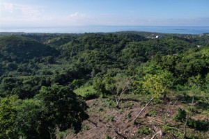 Działka na sprzedaż Ceiba Bonita - zdjęcie 2